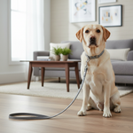 Jack and Vanilla hondenlijn voor honden, zilver, 100 cm