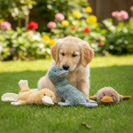 Jack and Vanilla speeltje voor honden, 38 cm