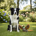 Jack and Vanilla speeltje voor honden, grijs, 28 cm