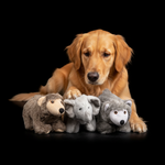 Jack and Vanilla speeltje voor honden, 23 cm