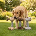 Jack and Vanilla speeltje voor honden, 25 cm