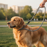 Jack and Vanilla product voor honden, grijs, 140 cm