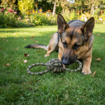 Jack and Vanilla speeltje voor honden, bruin, 43 cm
