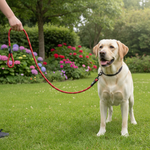 Jack and Vanilla hondenlijn voor honden, rood, 120 cm