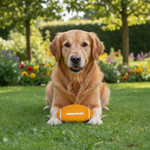 Jack and Vanilla speeltje voor honden, oranje, 10,3 cm