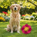 Jack and Vanilla speeltje voor katten, roze, 10 cm
