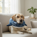 Jack and Vanilla speeltje voor honden, blauw, 22 cm