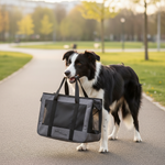 Jack and Vanilla draagtas voor honden en katten, zwart, 40 cm