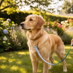Jack and Vanilla hondenlijn voor honden, 120 cm