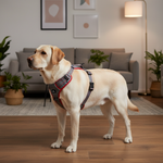 Jack and Vanilla tuigje voor honden, grijs, 82 cm