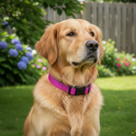 Jack and Vanilla halsband voor honden, roze, 26 cm