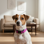 Jack and Vanilla halsband voor honden, roze, 26 cm