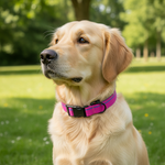 Jack and Vanilla halsband voor honden, roze, 65 cm