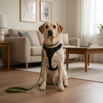 Jack and Vanilla hondenlijn voor honden, 120 cm