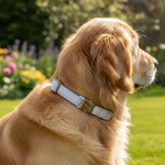 Jack and Vanilla halsband voor honden, 35 cm