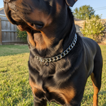 Jack and Vanilla halsband voor honden, 45 cm