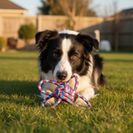 Jack and Vanilla speeltje voor honden, 33 cm