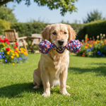 Jack and Vanilla speeltje voor honden, 33 cm
