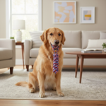 Jack and Vanilla product voor honden, 49 cm