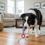 Jack and Vanilla speeltje voor honden, 35 cm