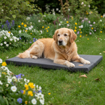 Jack and Vanilla transportbox voor honden, grijs, 58 cm