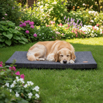 Jack and Vanilla transportbox voor honden, bruin, 104 cm