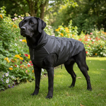 Jack and Vanilla jas voor honden, zwart, 30 cm