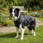 Jack and Vanilla jas voor honden, zwart, 45 cm