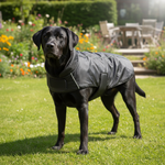 Jack and Vanilla jas voor honden, zwart, 55 cm