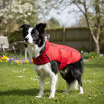 Jack and Vanilla jas voor honden, rood, 35 cm