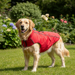 Jack and Vanilla jas voor honden, rood, 55 cm