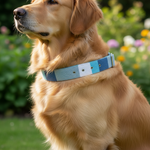 Jack and Vanilla halsband voor honden, blauw, 40 cm