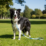 Jack and Vanilla hondenlijn voor honden, blauw, 110 cm