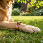 Jack and Vanilla halsband voor honden, roze, 50 cm