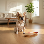 Jack and Vanilla hondenlijn voor honden, roze, 110 cm