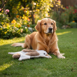 Jack and Vanilla speeltje voor honden, beige, 30 cm
