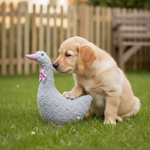 Jack and Vanilla speeltje voor honden, grijs, 28 cm