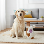 Jack and Vanilla speeltje voor honden, wit, 22 cm