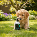 Dynapet product voor honden