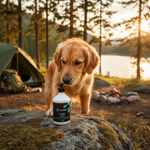 Dynapet product voor honden