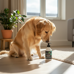 Dynapet jas voor honden