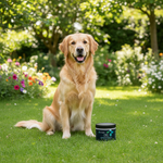 Dynapet product voor honden