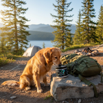 Dynapet product voor honden