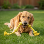 Jack and Vanilla speeltje voor honden