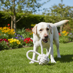Jack and Vanilla touwspeeltje voor honden, naturel, 20 cm