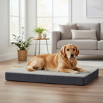 Jack and Vanilla product voor honden, donkergrijs, 100 cm