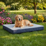 Jack and Vanilla product voor honden, donkergrijs, 100 cm