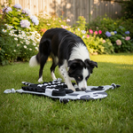 Jack and Vanilla product voor honden, grijs, 65 cm