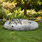 Jack and Vanilla product voor honden