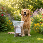 Haba's kauwbot voor honden